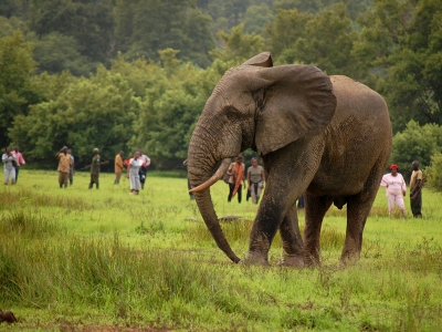 Adventure, Wildlife &amp; Nature Footsteps (from US$1,205)