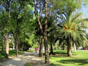 Aburi Botanical Garden